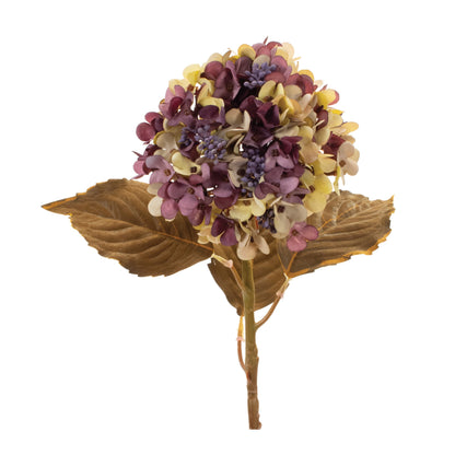 Purple Harvest Hydrangea Stem Set Of 6