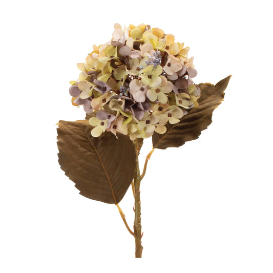 Beige Harvest Hydrangea Stem Set Of 6