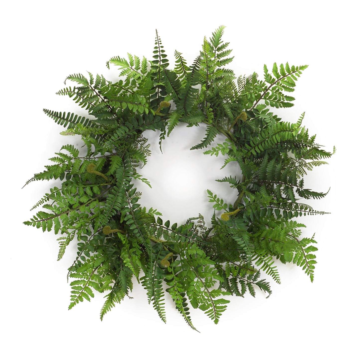 Fern Wreath 24"