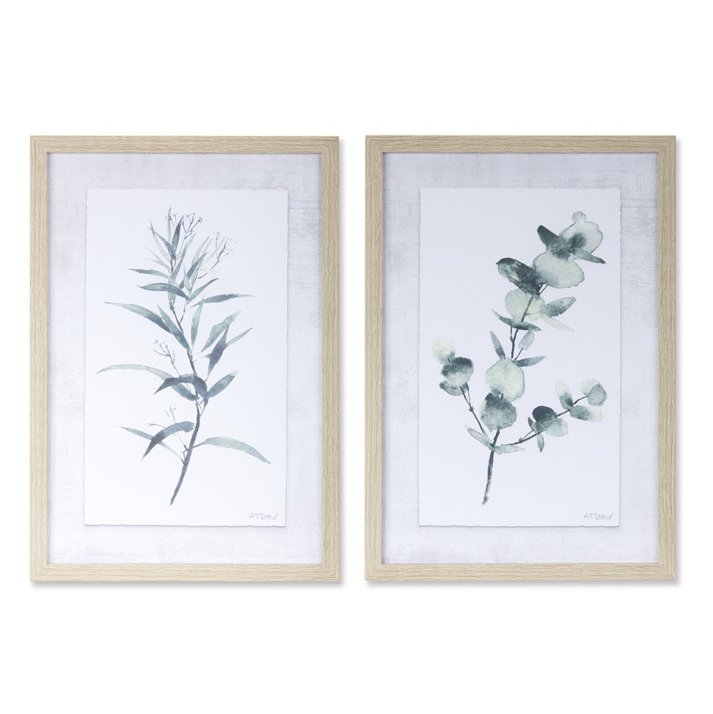 Eucalyptus Prints