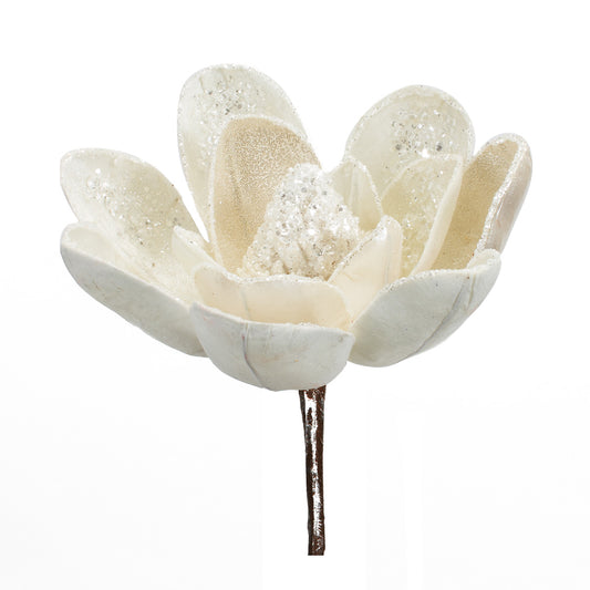 White Magnolia Stem Set Of 6