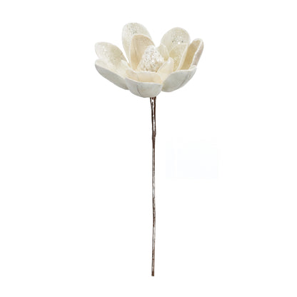 White Magnolia Stem Set Of 6