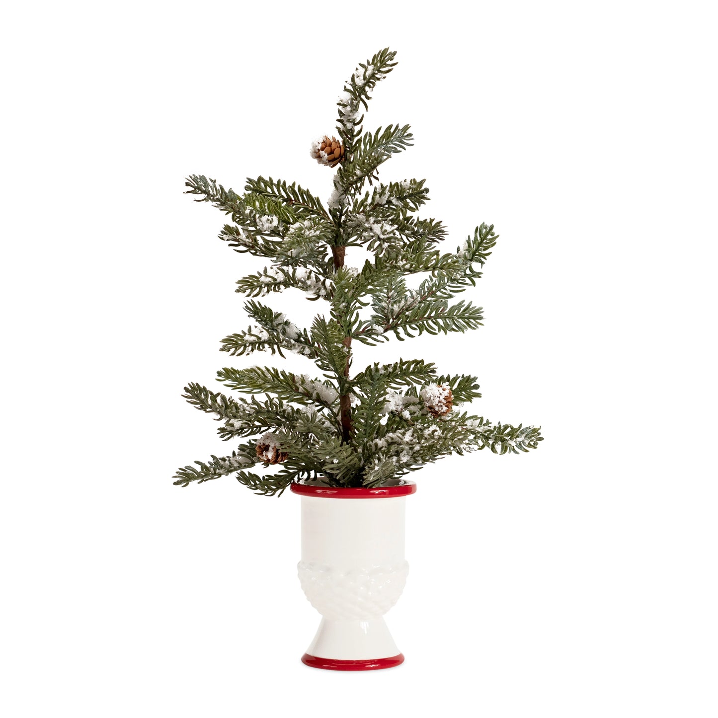 Potted Pine Tree Set Of 2